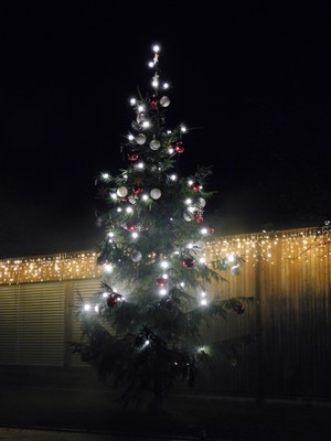 Illuminierung Christbaum und Weihnachtsbeleuchtung