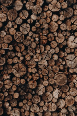 Holz schafft Arbeitsplätze