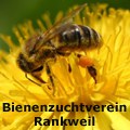 Bienenzuchtverein Rankweil