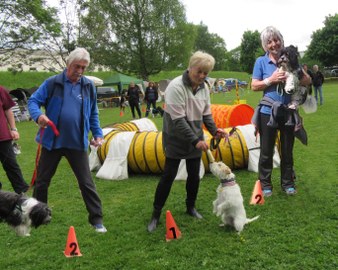 Hundesportverein RANKWEIL /Agility Wochenende KUNDL/T.+WANGEN/D 20.+21.Mai 2017