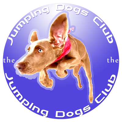 Danceparty mit dem Jumping Dogs Club